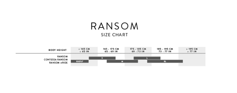 Scott Contessa Ransom 910 Mountain Bike In Beluga Grey/Terrazzo Black-5